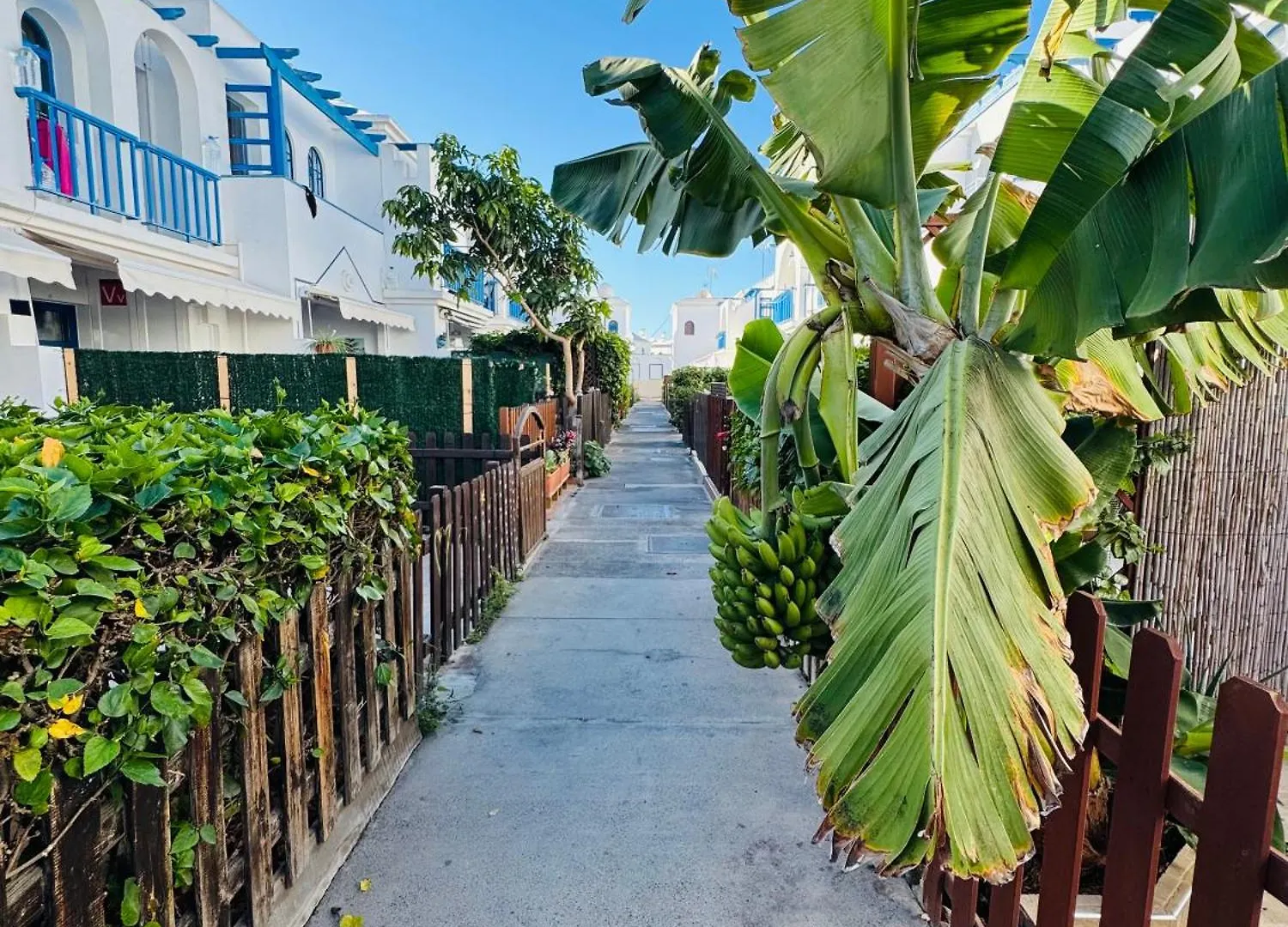 Apartment Bungalow Gilly Maspalomas  Spain